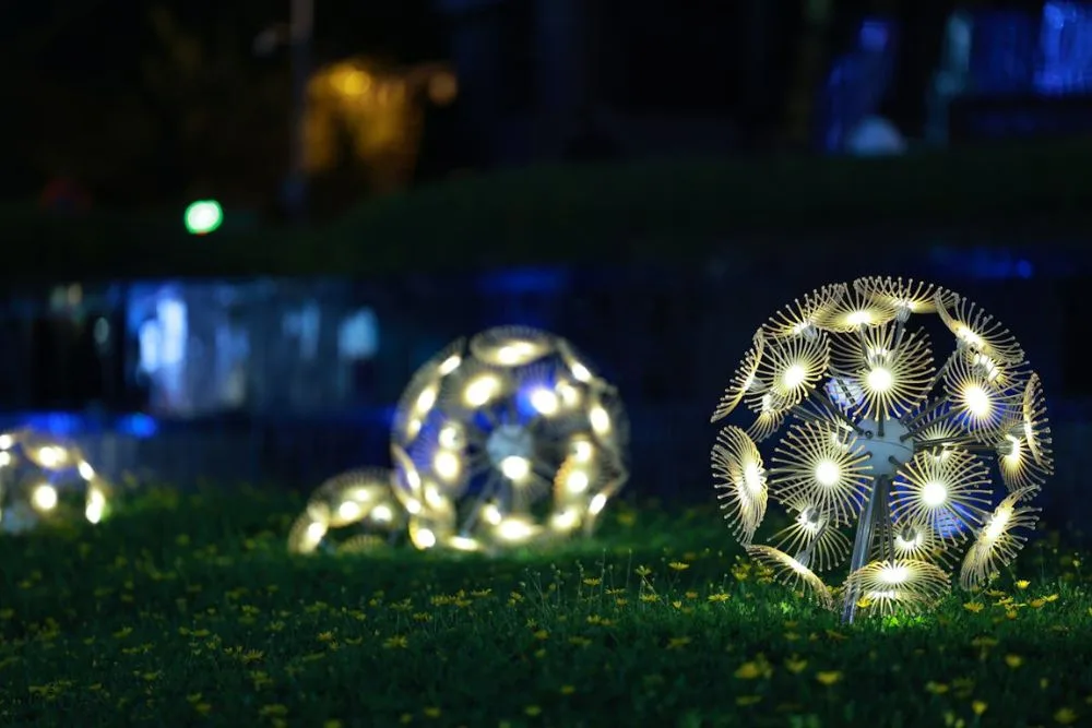 Landscape lighting in Santa Rosa, CA