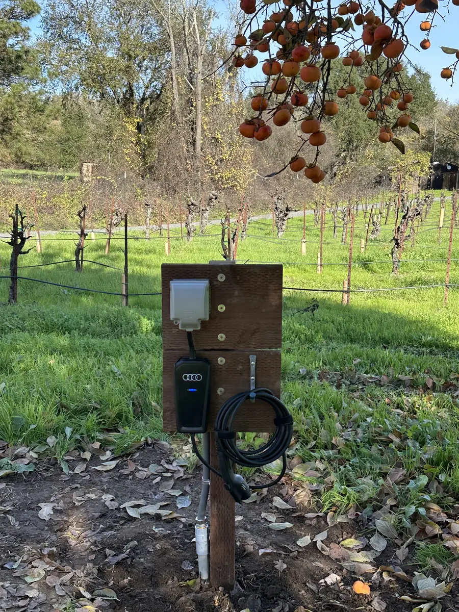 Audi EV charger mounted on a post beside a vineyard in Sonoma County, CA